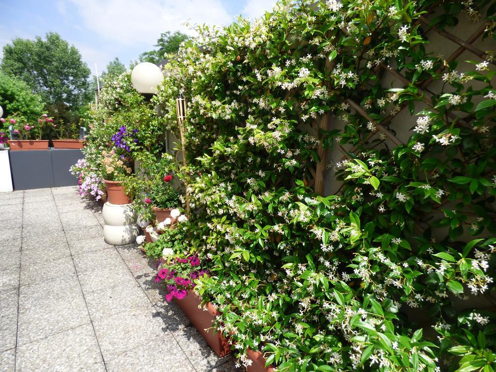 Hotel Hotel Fidenza 3*